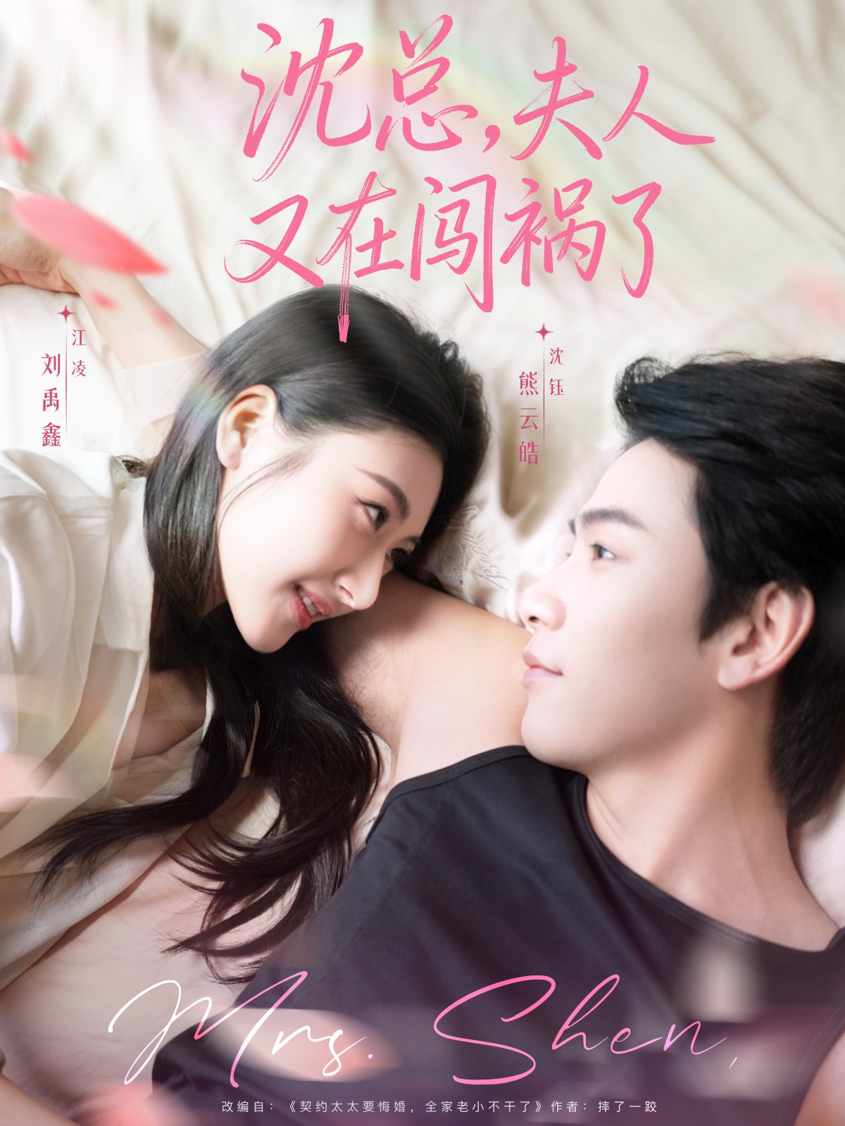 沈总，夫人又在闯祸了(全集)